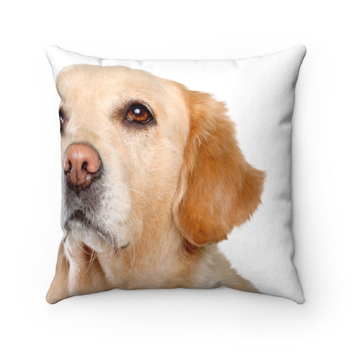 Cute Golden Retriever Spun Polyester Square Pillow